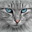 读者「桌游老猫」的头像，抱着一只猫的模糊剪影